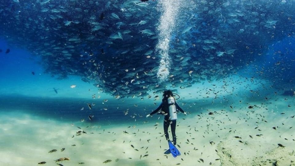 ‘El acuario del mundo’ de Baja California Sur, en el que el buceo es una experiencia espectacular