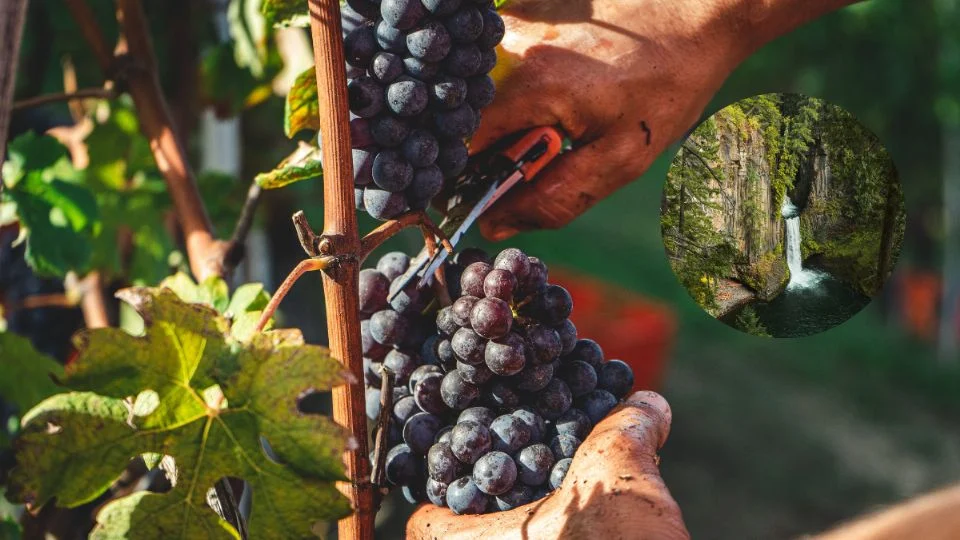 Cadereyta de montes: el pueblo mágico en querétaro con cascadas, grutas y viñedos la revista del sureste mx F960X540 21947 96022 0