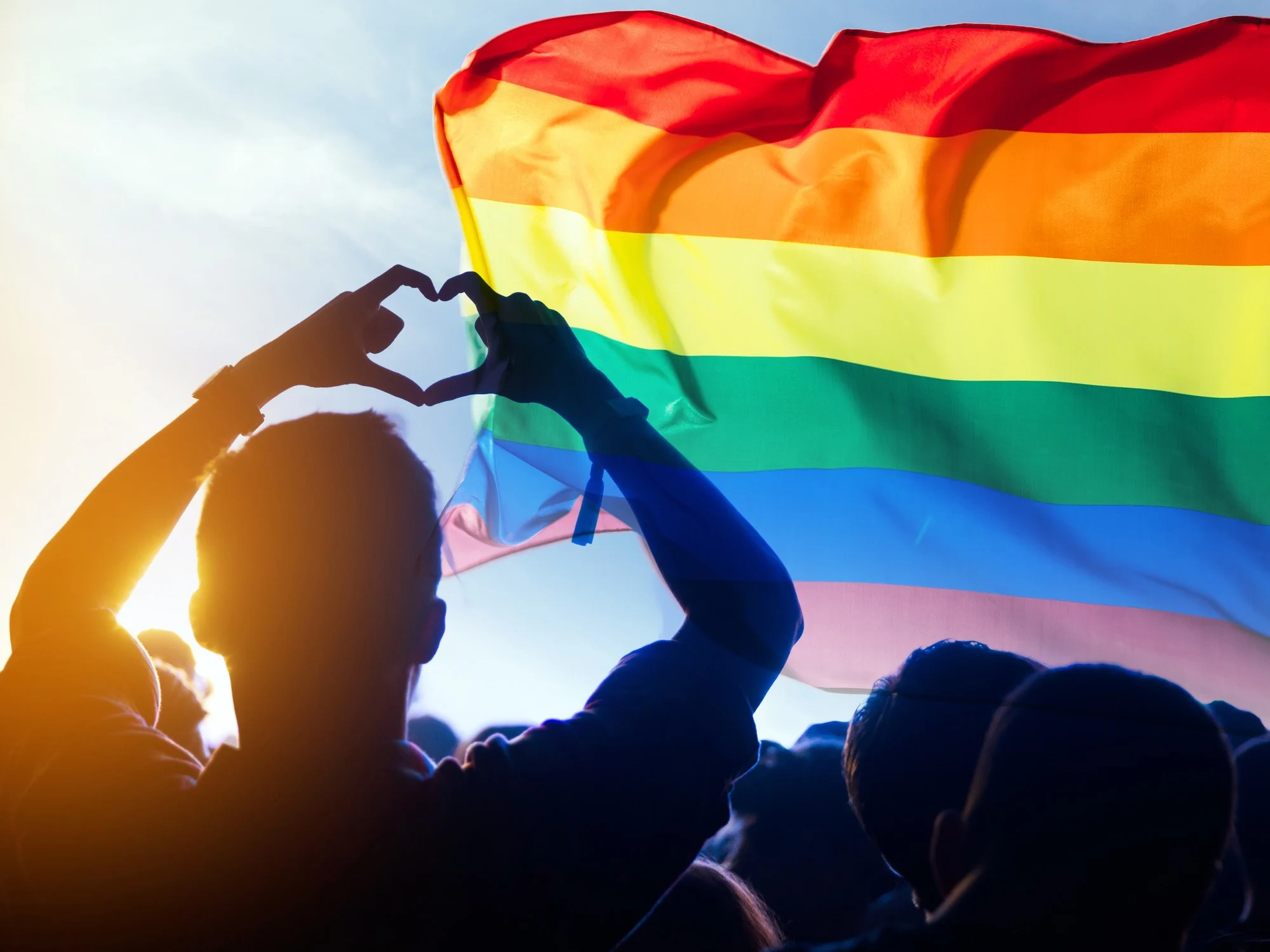 La Bandera Lgbt Fue Creada B8