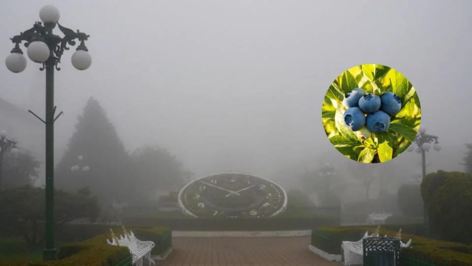 No solo manzanas, Zacatlán ofrece la 'Blue Ruta 2023' para hacer turismo ecológico