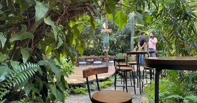 F768X400 22370 66273 5050 Jpg