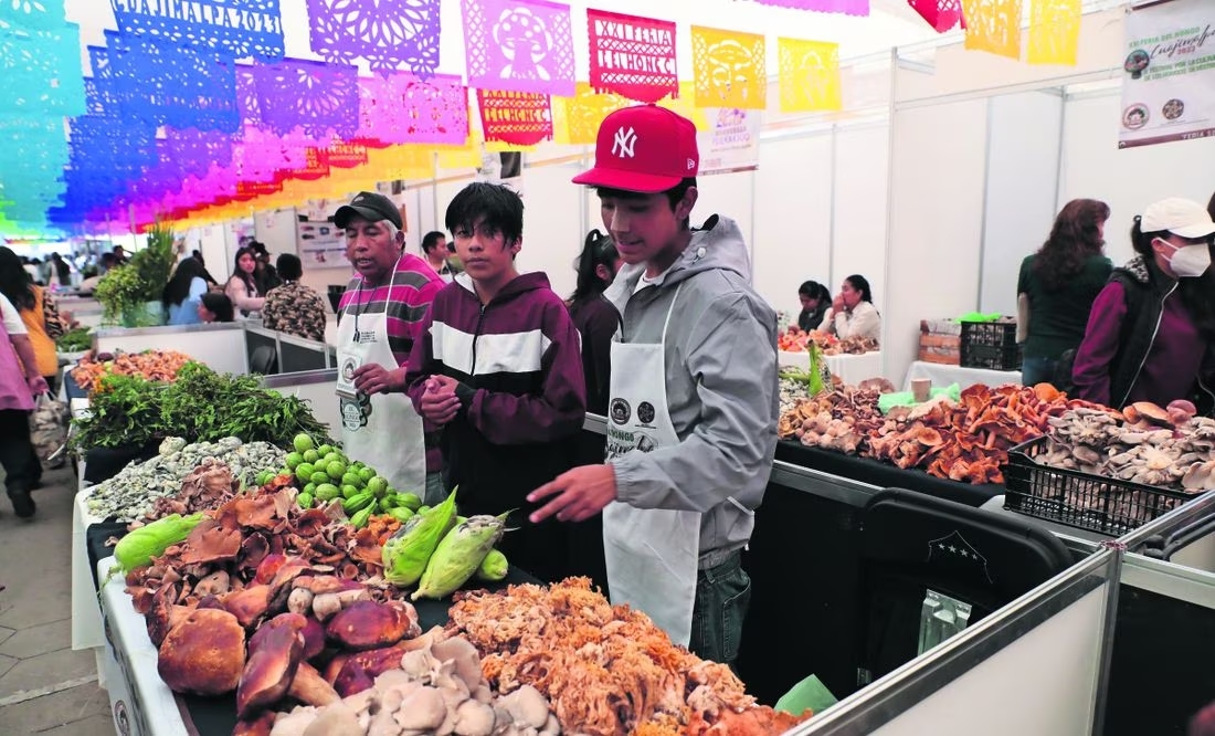 La Feria del Hongo llega a la alcaldía Cuajimalpa