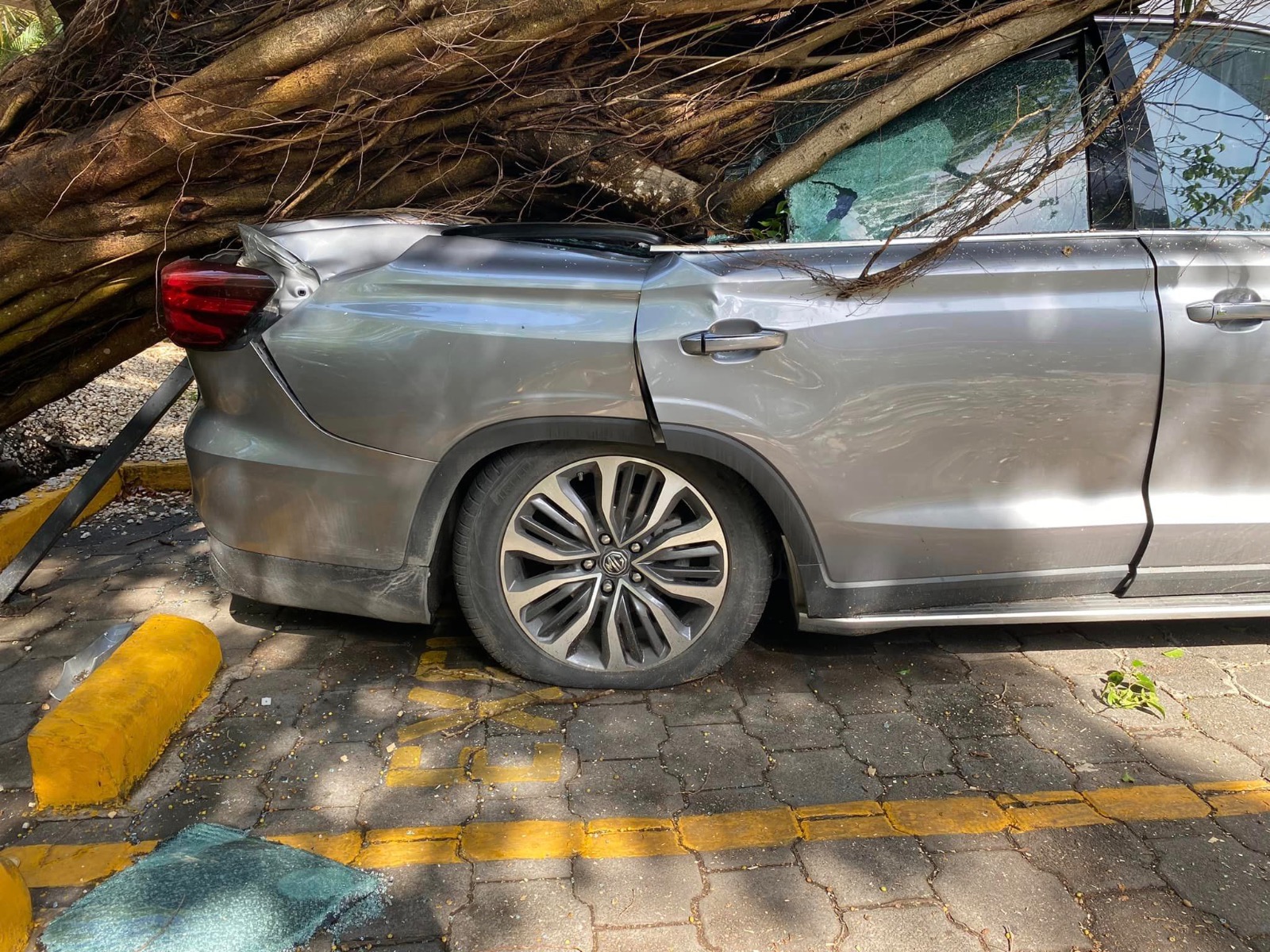 #circulaenredes "auto dañado en hotel hyatt regency villahermosa: usuaria exige respuesta y seguridad" la revista del sureste mx Whatsapp Image 2023 08 17 At 15.05.41
