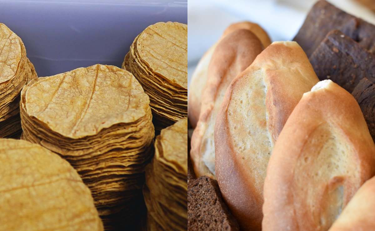 Bolillo O Tortilla