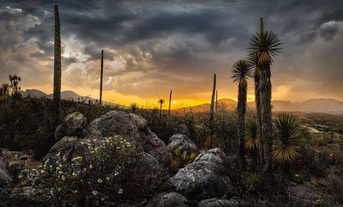 Explora estas impresionantes reservas naturales de Puebla que son patrimonio mundial