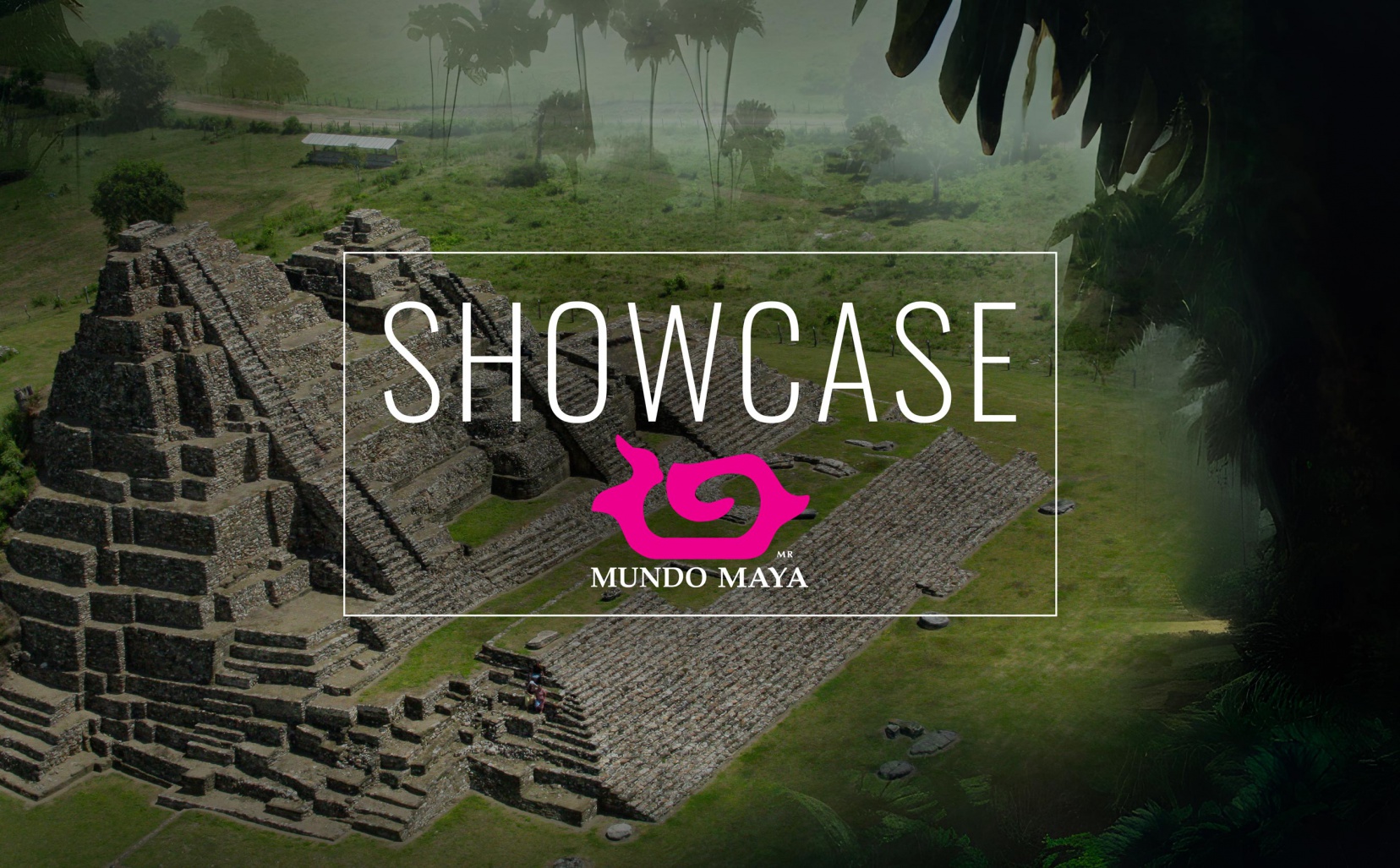 Showcase
