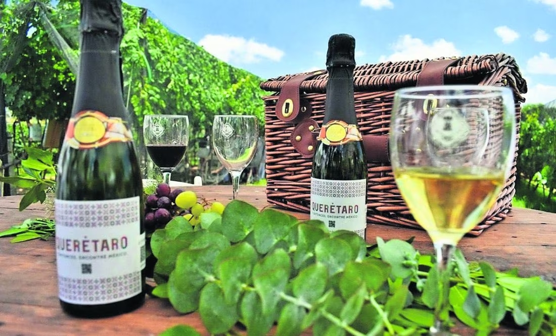 Un viaje enológico por los valles queretanos la revista del sureste mx Valles