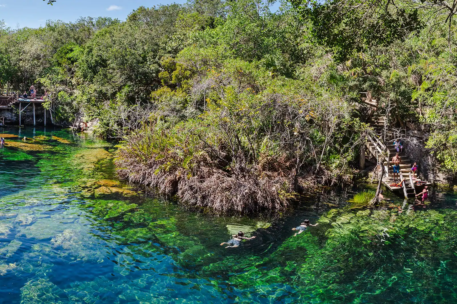 Cenotes de Tulum: Maravillas subterráneas del paraíso Maya