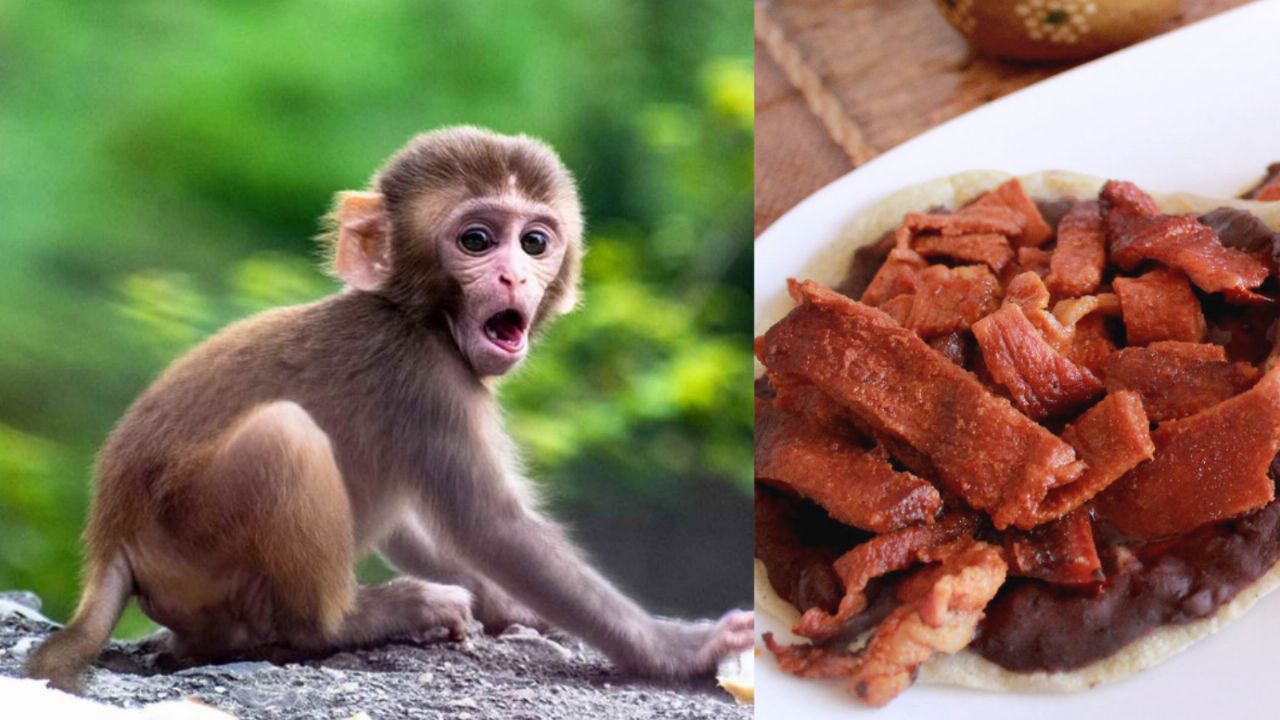 Conoce La Carne De Chango El Popular Platillo De Catemaco Veracruz