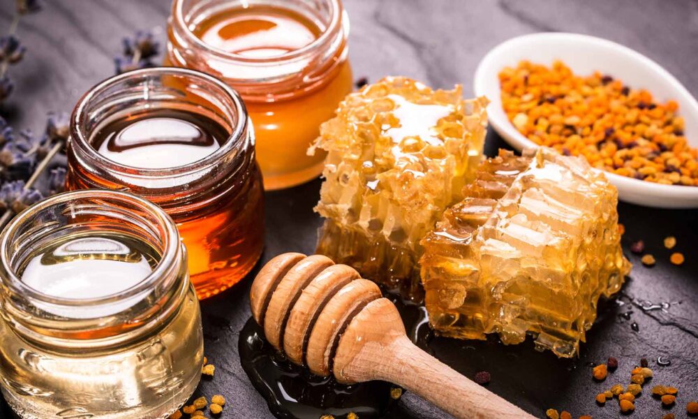 La miel de Campeche, un tesoro dulce con gran demanda internacional