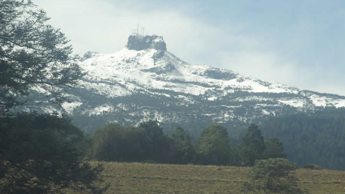 Parque Nacional Cofre De Perote Alberga Una De Las Montanas Mas Altas De