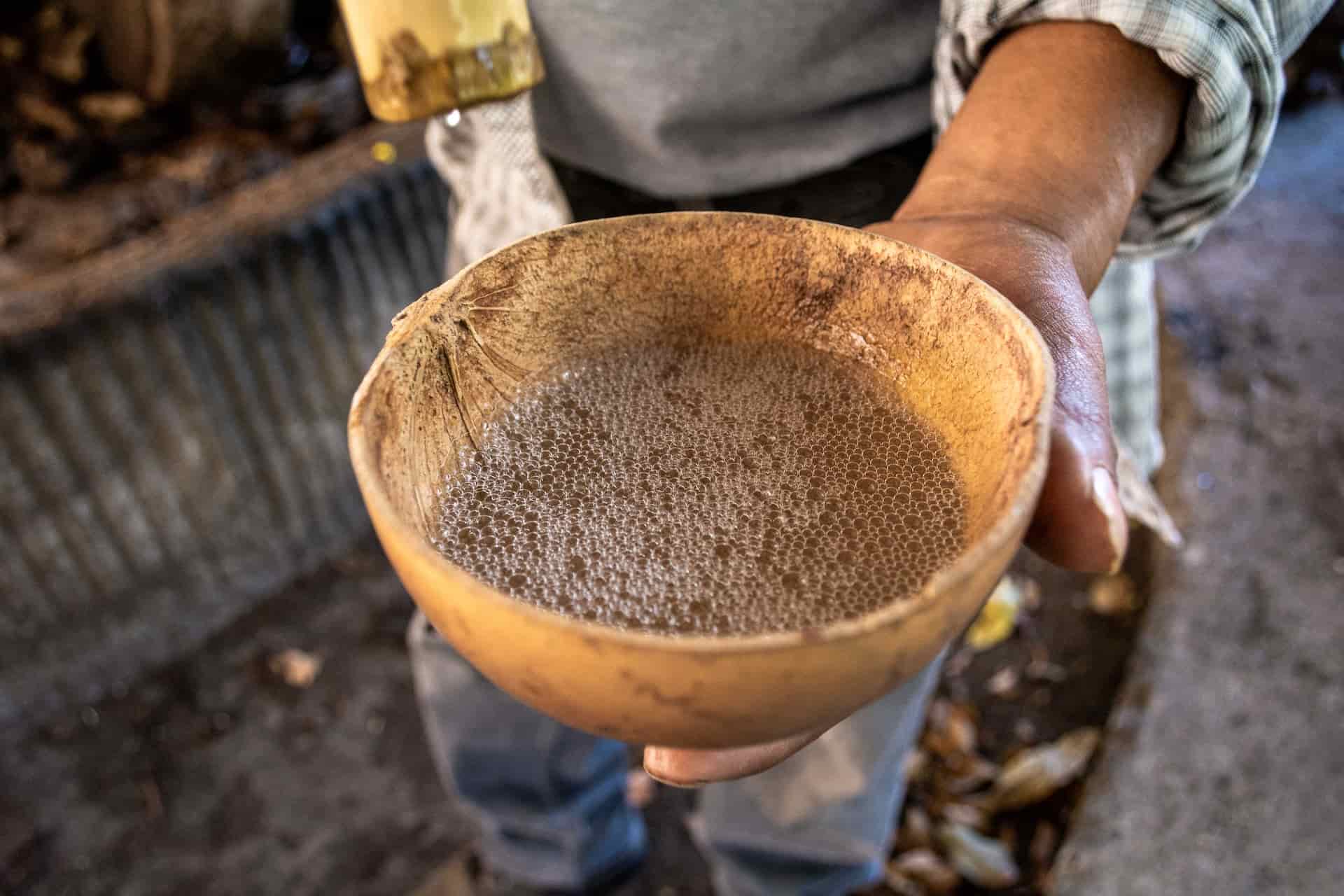 Descubre el pox, la ancestral bebida maya que está conquistando paladares la revista del sureste mx Pox La Bebida Maya Ancestral Que Debes Probar