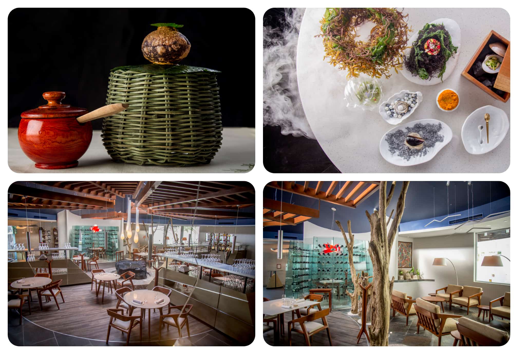 Descubre la magia gastronómica de le chique, joya culinaria de la riviera maya la revista del sureste mx Restaurante Le Chique