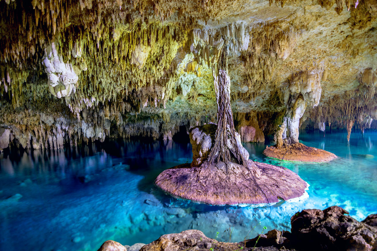 "Descubre los Secretos de los Cenotes de Quintana Roo: Portales al Pasado y Santuarios de la Naturaleza"