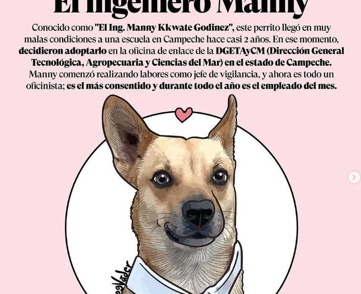 “¡Conoce al perrito godín que conquista las redes! Escuela en Campeche adopta a el Ing. Manny y se vuelve viral”