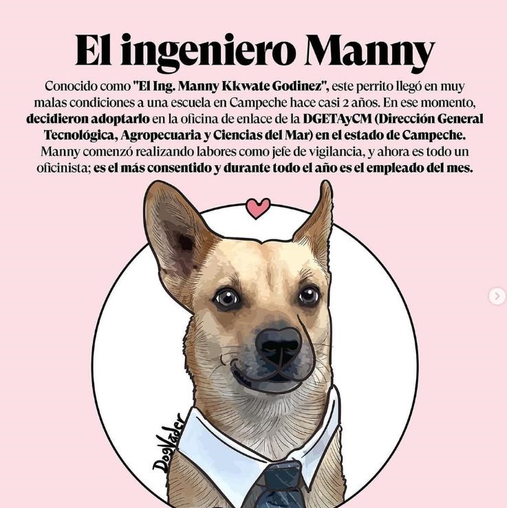 El Ingeniero Manny Kkwate