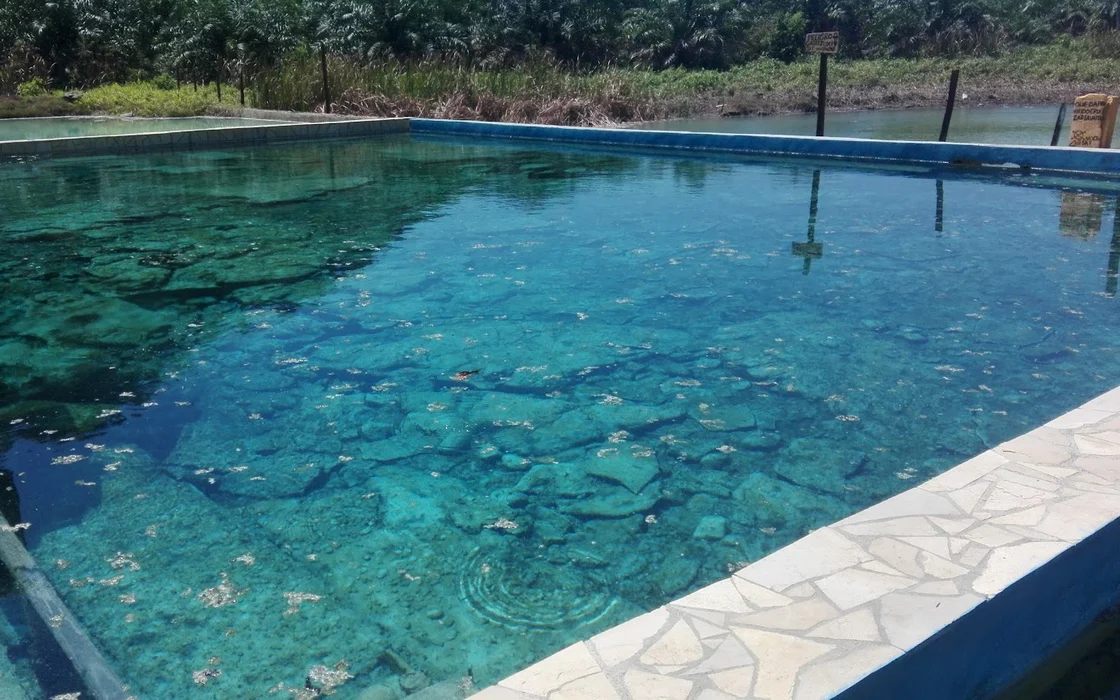 Hotel Y Balneario Hacienda Los Azufres