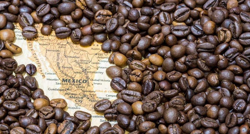 Ruta Del Cafe En Veracruz