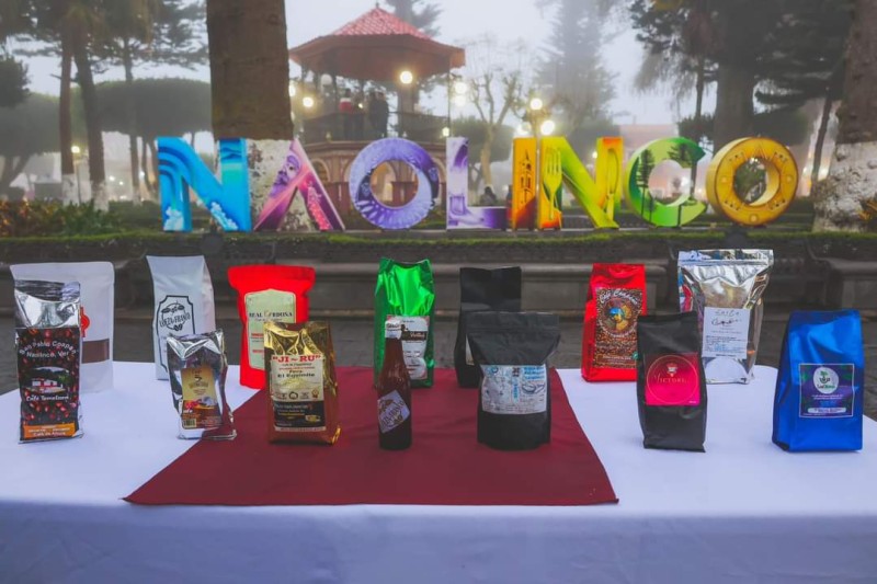 ¡Sabor y aroma en la Expo Café de Naolinco: 20+ expositores para deleitar tus sentidos!