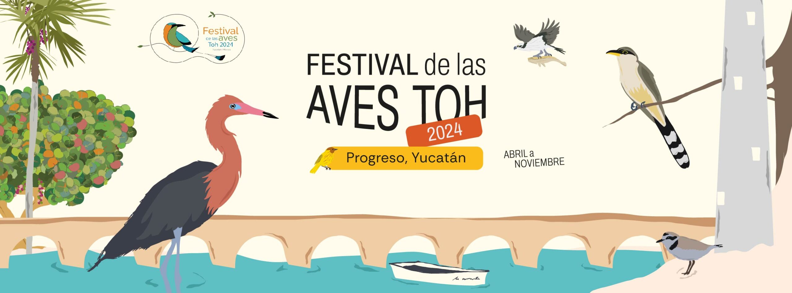 De Abril A Noviembre Realizaran Festival De Las Aves Toh 2024 Scaled