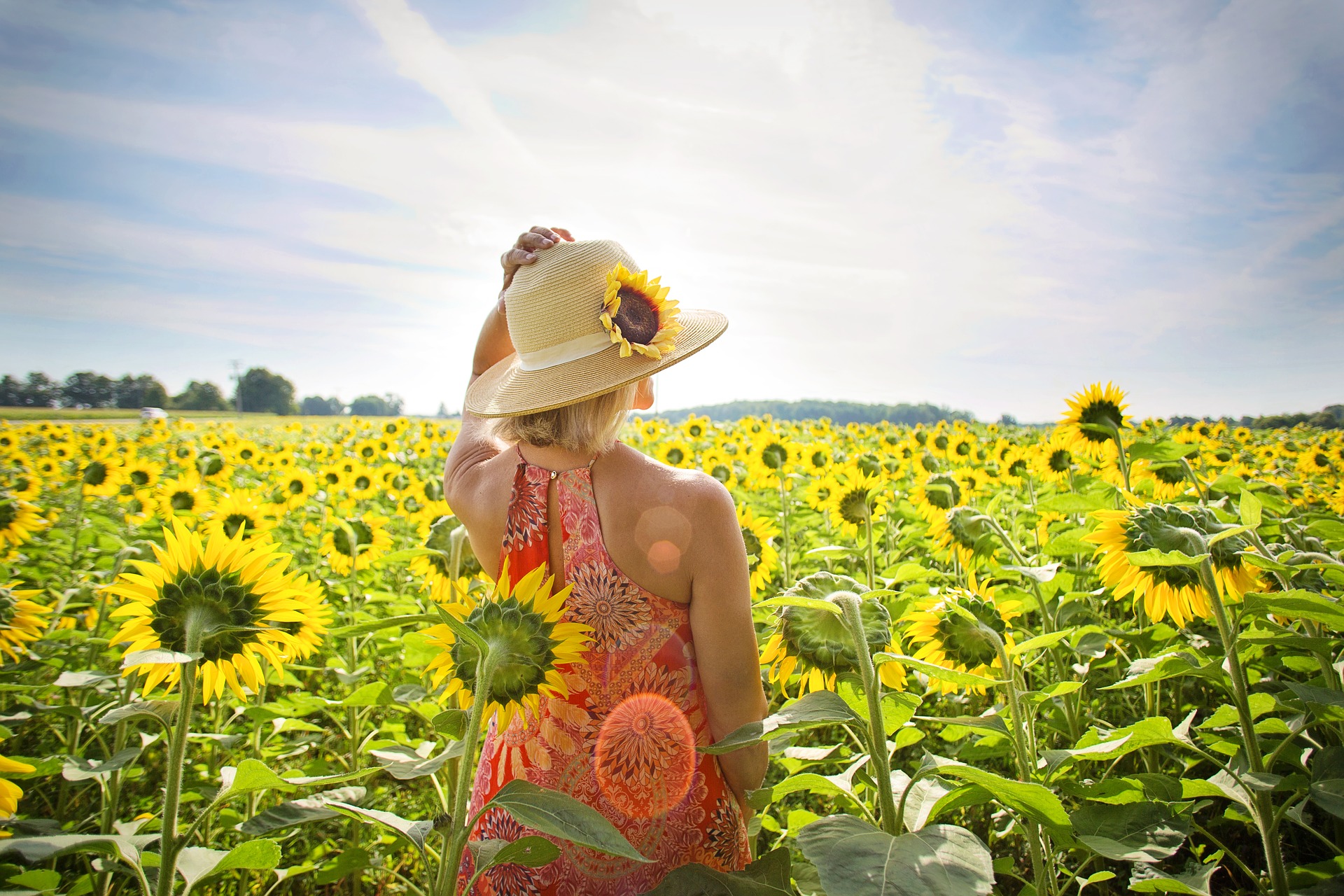 Descubre La Magia De Los Girasoles En El Festival Del Girasol En Balancan