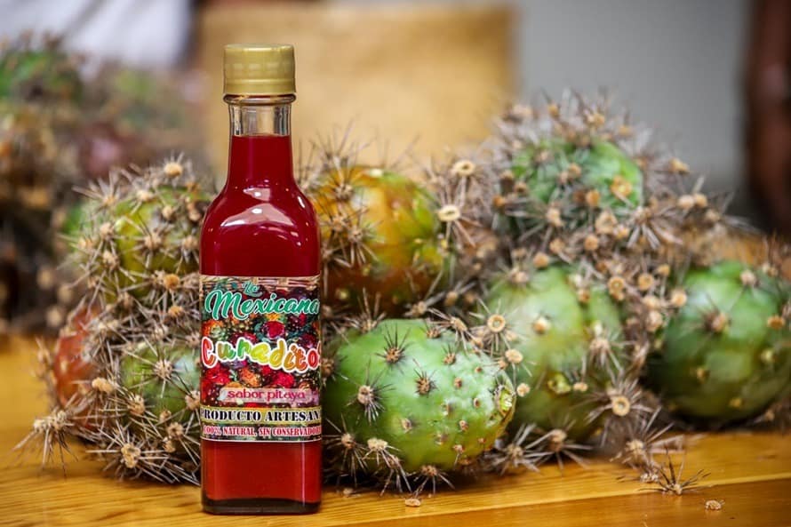 Celebra el Encanto Exótico de la Pitaya: 50ª Edición de la Feria Regional en Oaxaca