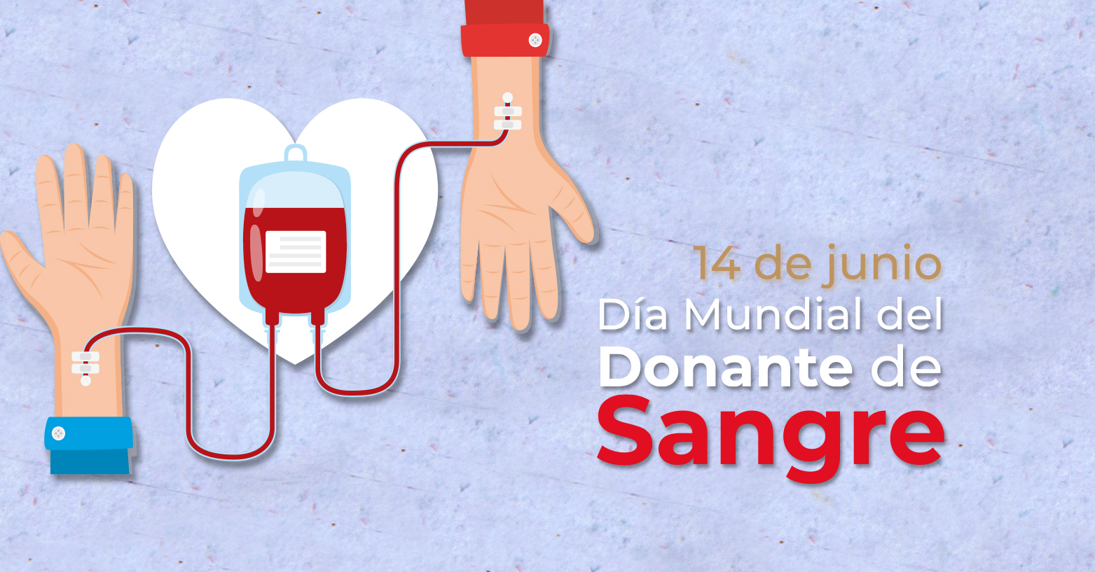 Día mundial del donante de sangre: salvando vidas con cada donación la revista del sureste mx 14 De Junio Dia Mundial Del Donante De Sangre