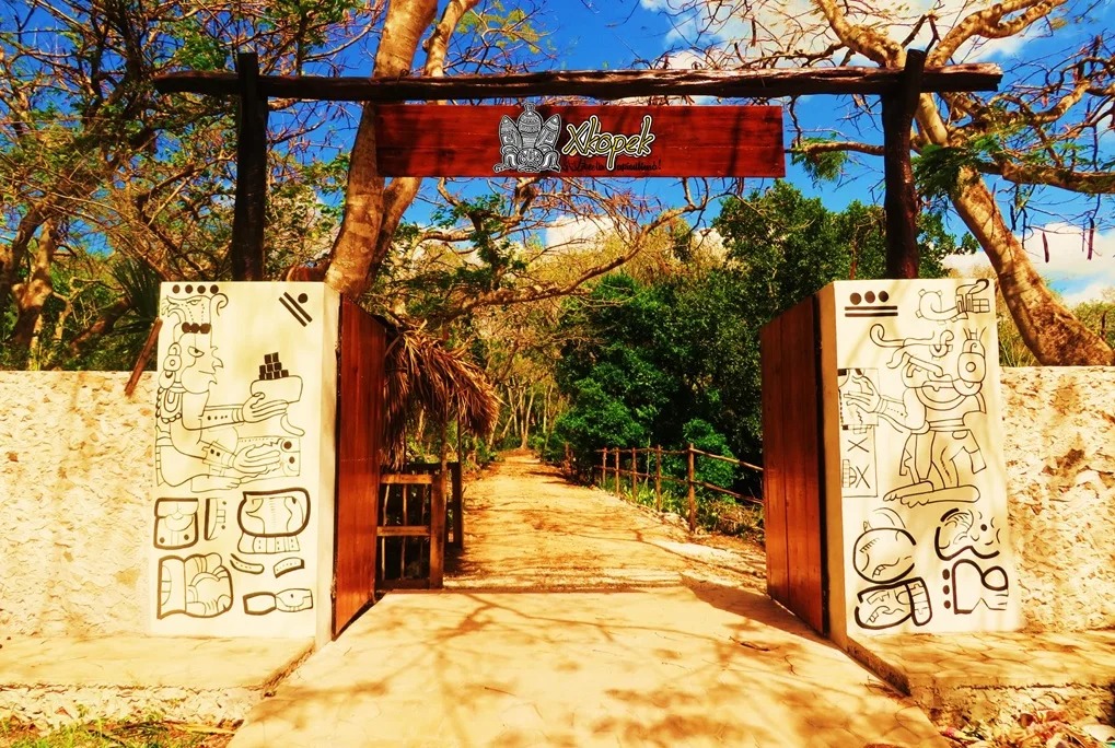Descubre El Parque Apicola Xkopek En Valladolid Yucatan