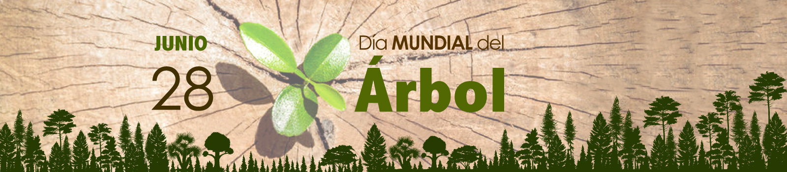 Dia Mundial Del Arbol