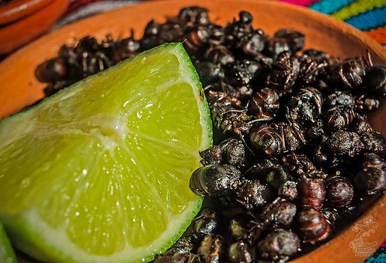 Embarcate En Un Viaje Culinario Inolvidable Con El Tren Maya