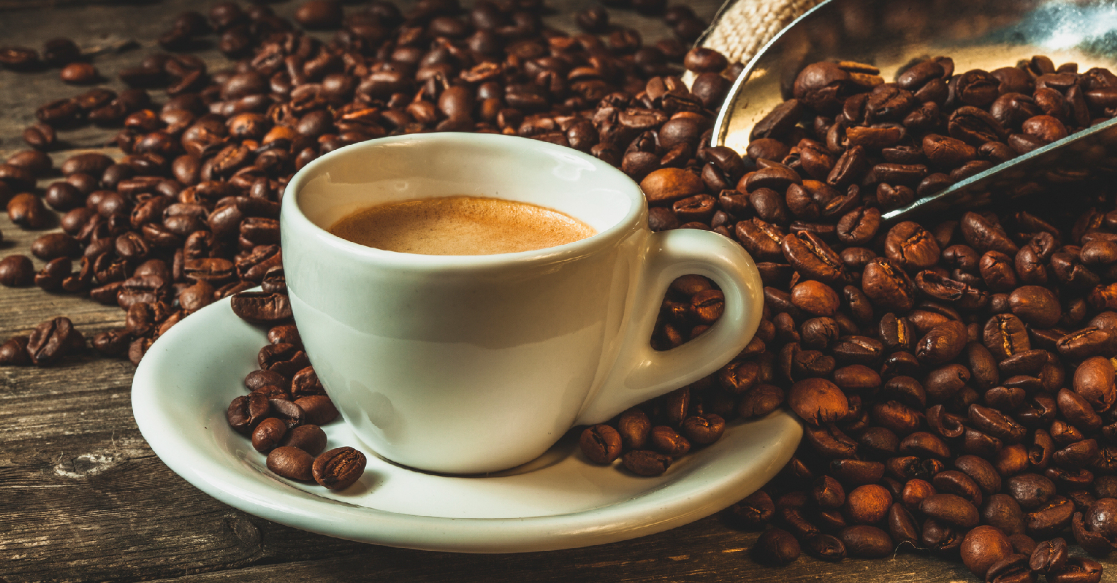 Festival Del Cafe Veracruz