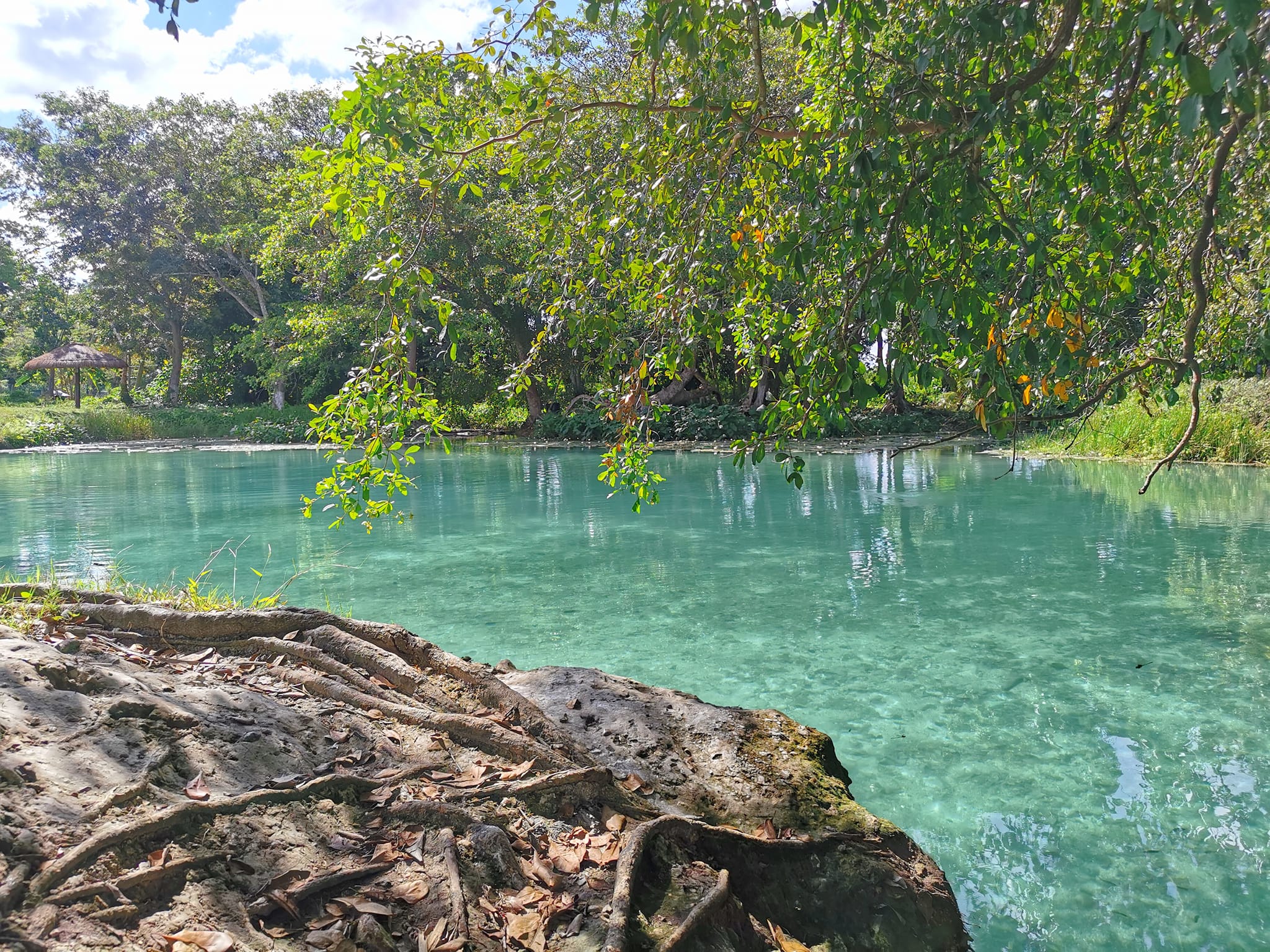 Ojo De Agua De Sabancuy Cuanto Cuesta Y Como Llegar A Chekubul
