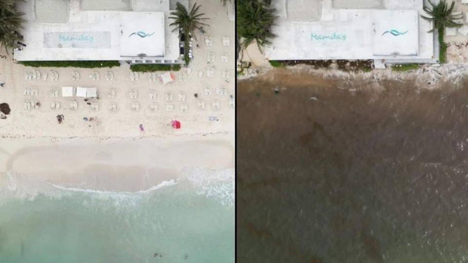 Playa mamitas en alerta: ¿por qué el mar se ve café? La revista del sureste mx Playa Mamitas El Mar Se Ve Cafe