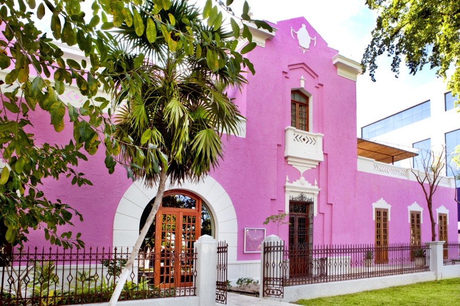 Rosas y Xocolate: Un Paraíso sensorial en el Corazón de Mérida