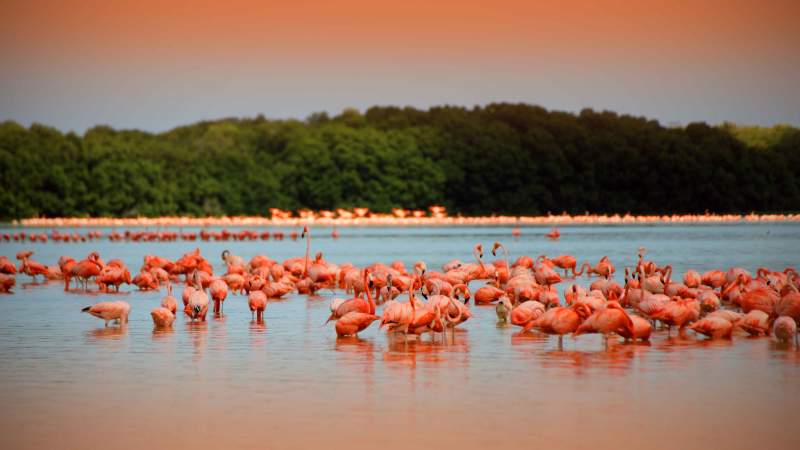 Yucatán: Crecimiento turístico sostenible y constante