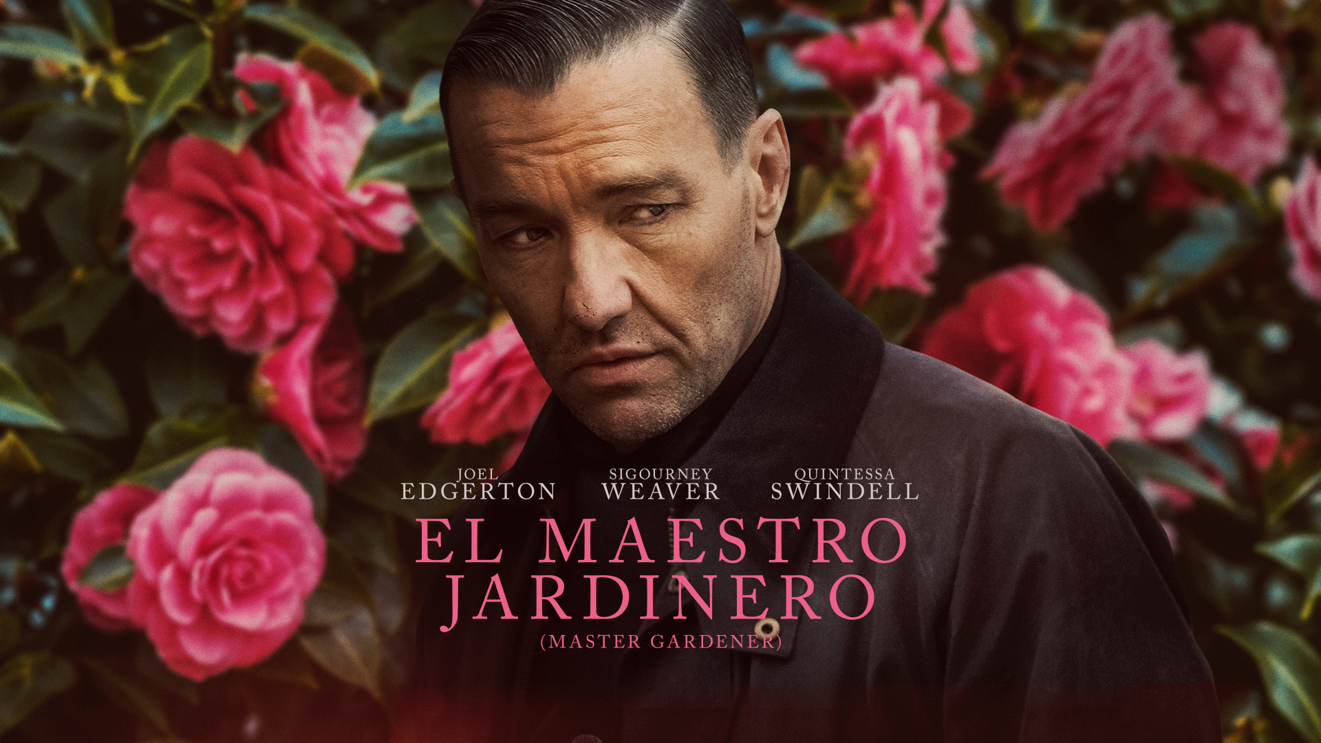 75A Muestra Internacional De Cine De La Cineteca Nacional