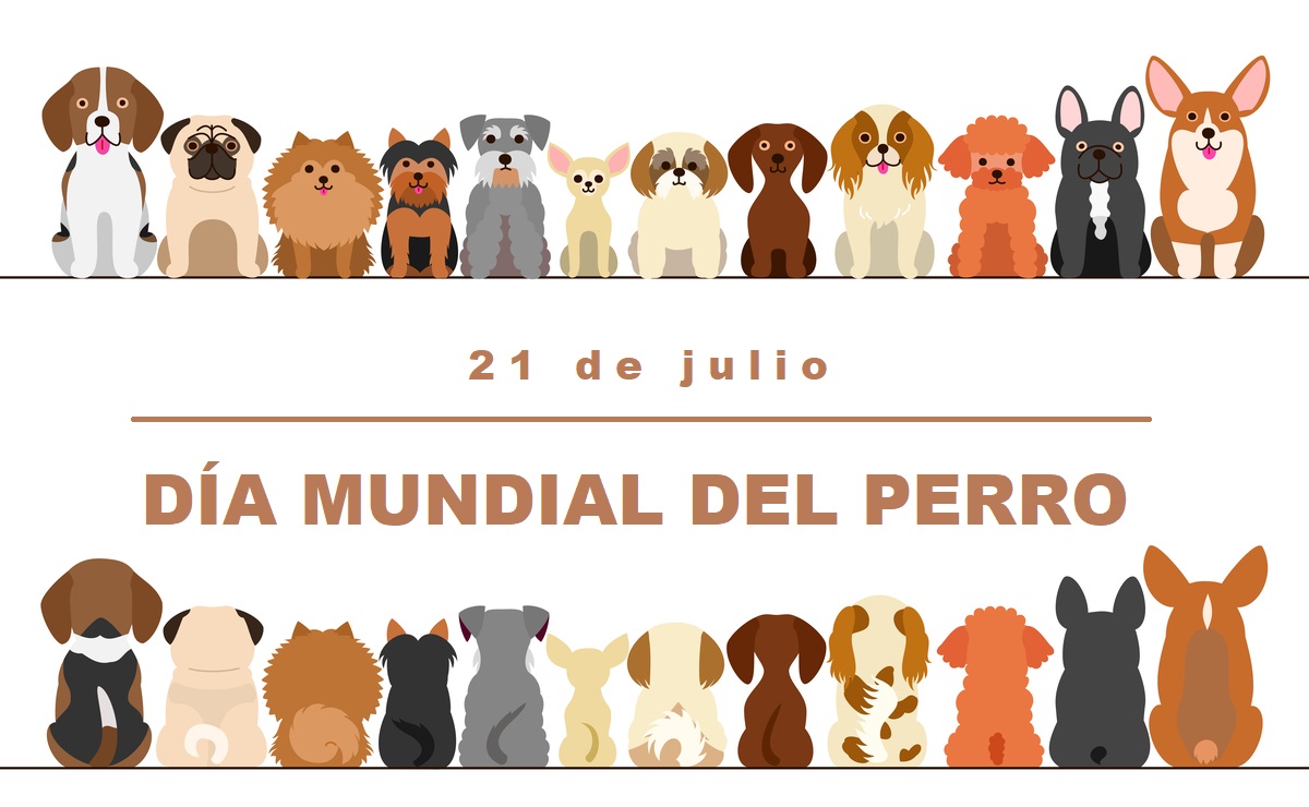 Dia Mundial Del Perro