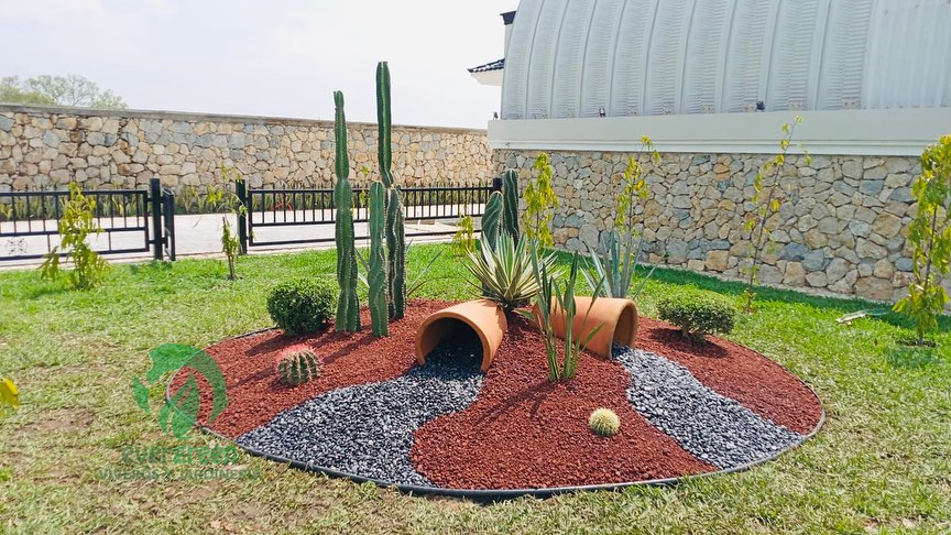 Evergreen Jardinería: Transformando espacios verdes en Villahermosa