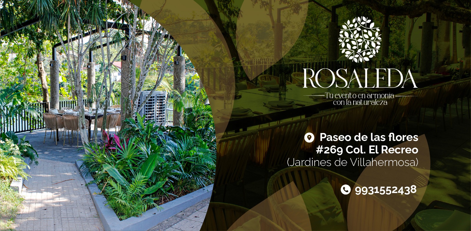 Descubre el Jardín Rosaleda: El escenario perfecto para tus eventos