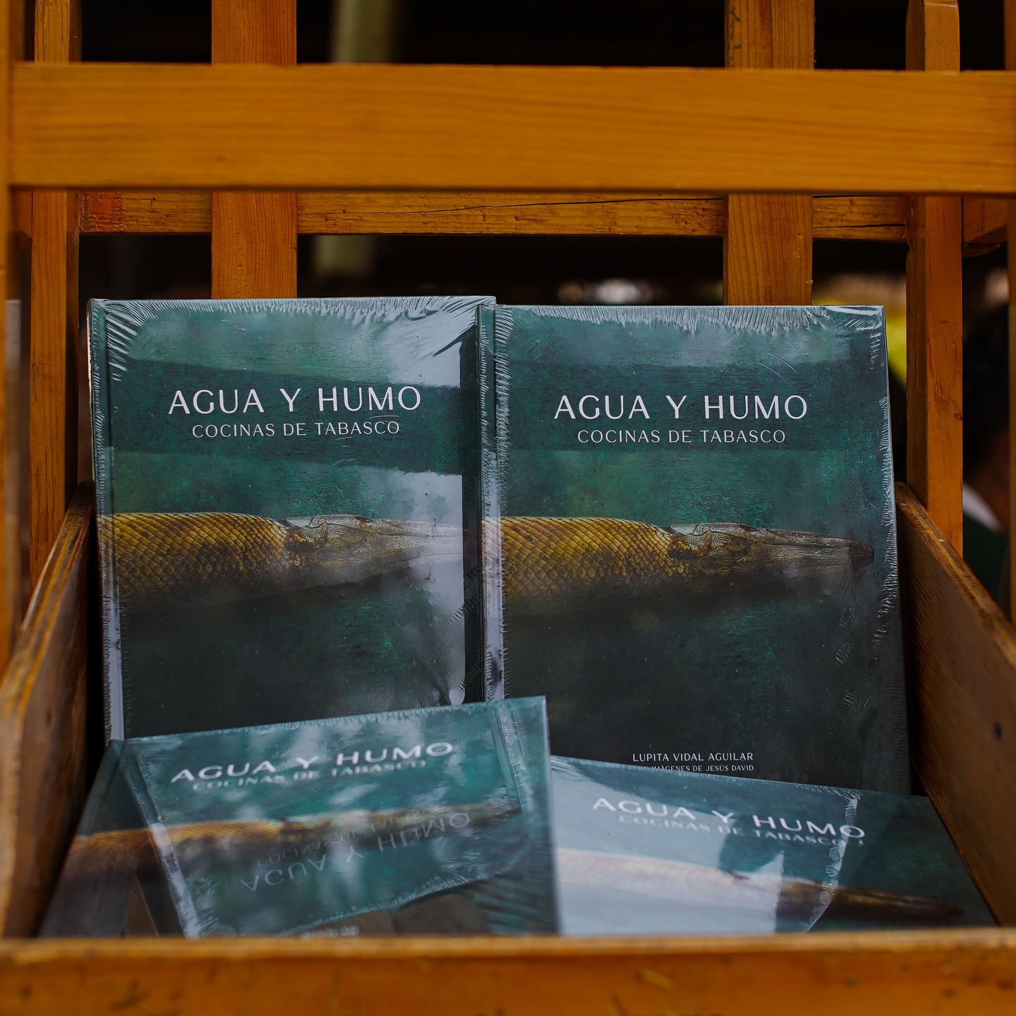 Libro Agua Y Humo De La Tabasquena Lupita Vidal Esta Nominado A Los Gourmand World Cookbook Awards