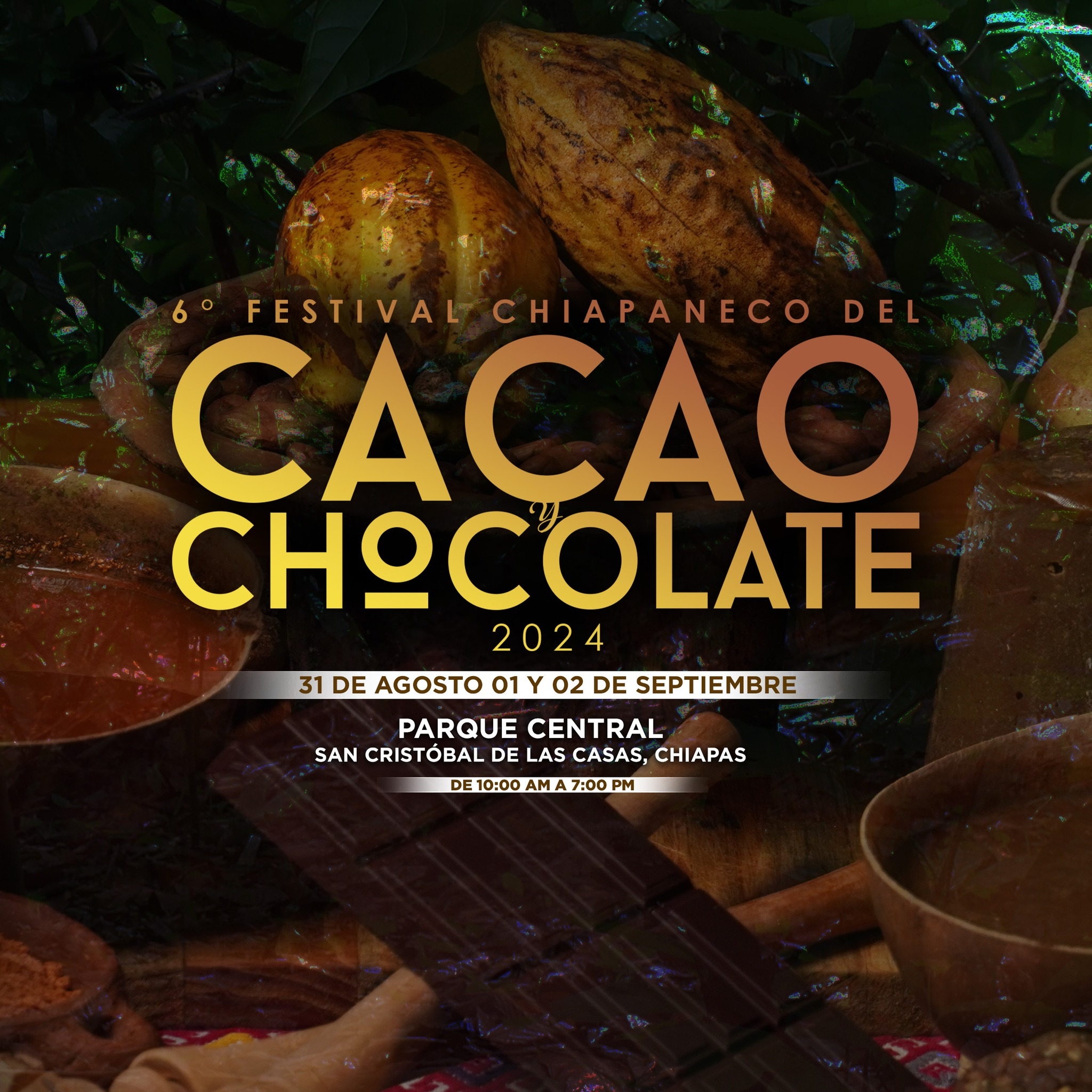 Sexto Festival Nacional Del Cacao En San Cristobal De Las Casaschiapas
