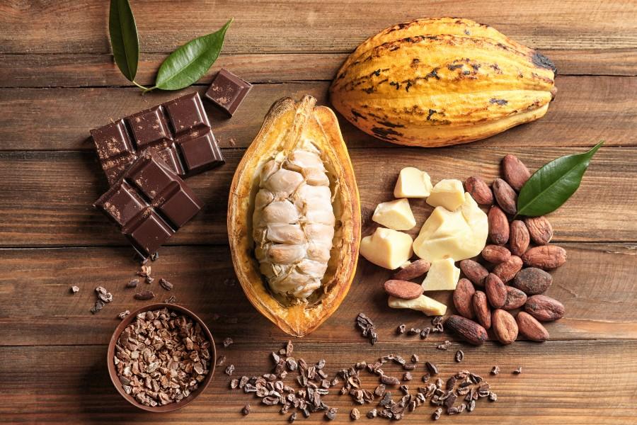2 De Septiembre Un Dia Para Celebrar El Cacao Y El Chocolate En
