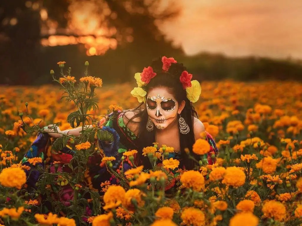 Festival De La Flor De Muerto Chiapas Celebra La Belleza Y Tradicion Del Cempasuchil