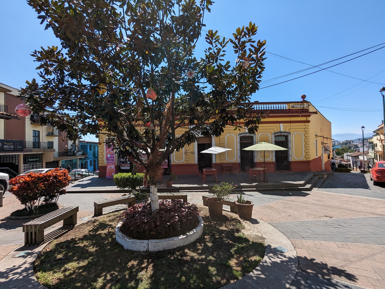 La Calle Mas Encantadora De Xalapaveracruz Un Refugio De Tranquilidad Y Belleza En El Centro Historico