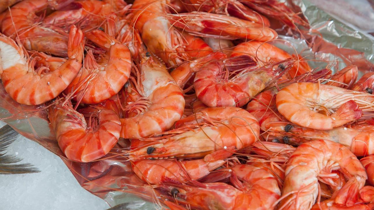 Festival Del Camaron 2024 En Ciudad Del Carmencampeche Gastronomia Cultura Y Negocios En Un Solo Lugar