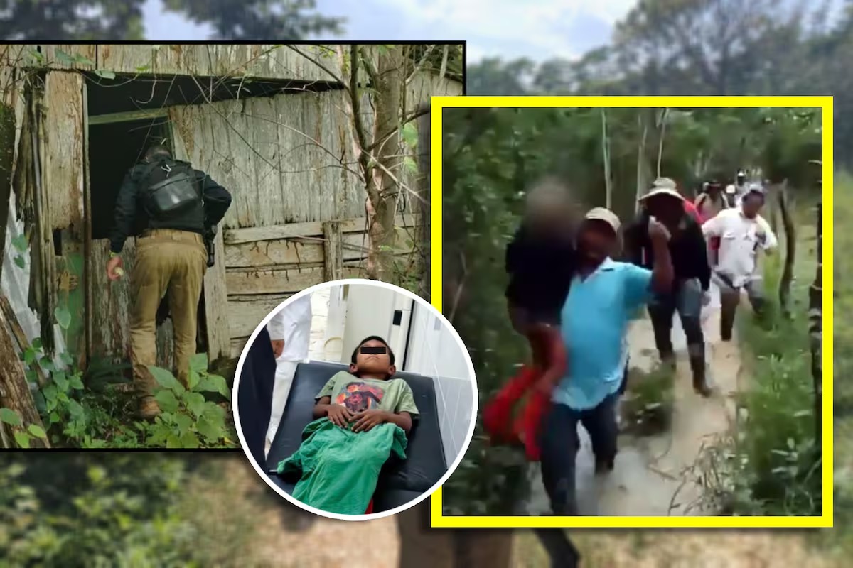 Milagroso Rescate En La Selva De Campeche Nino De 9 Anos Sobrevive Seis Dias Gracias A La Proteccion De Dos Perros