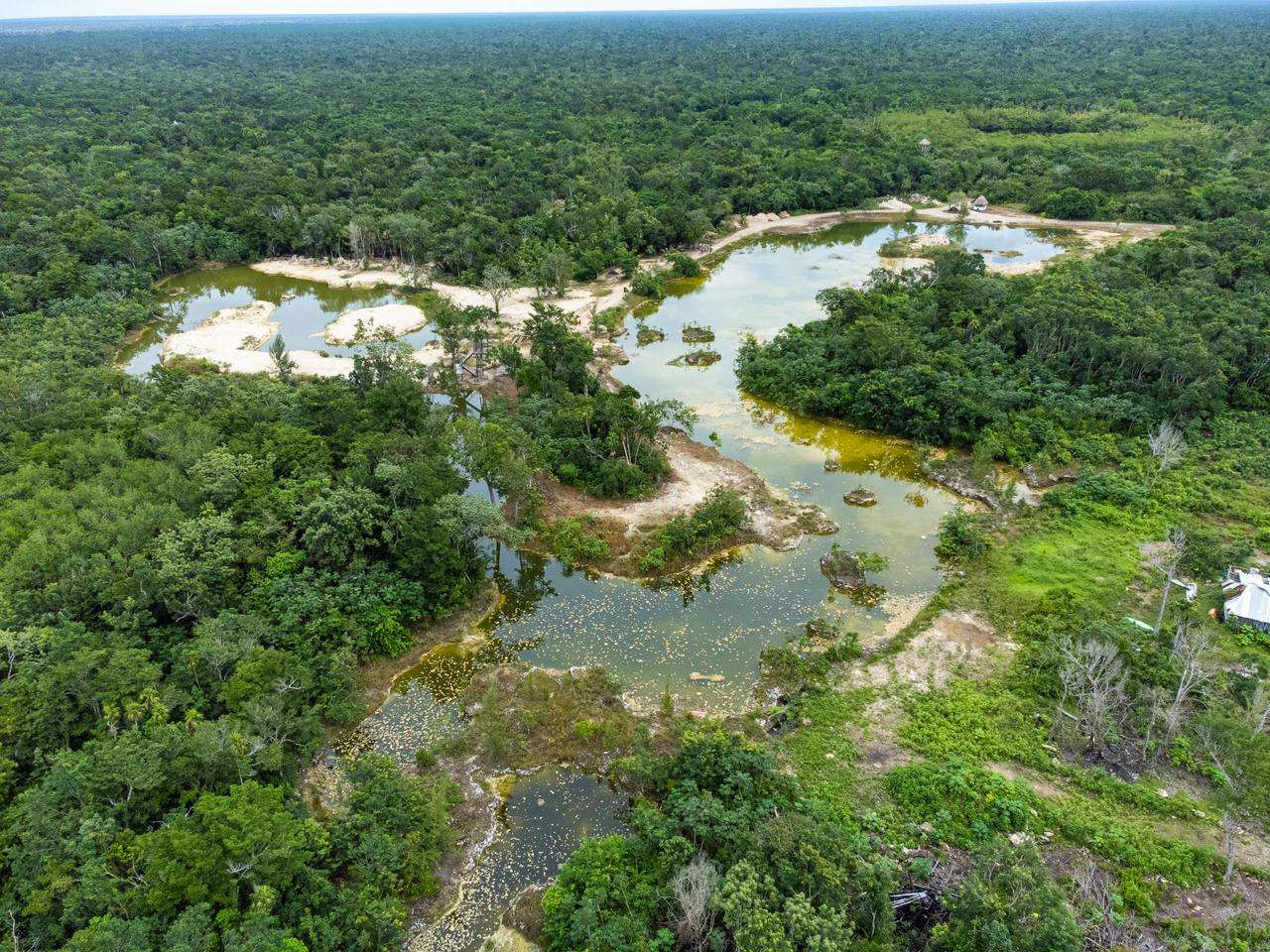 Uxuxubi Al Natural Un Proyecto Ecoturistico Que Revoluciona El Turismo En Playa Del Carmen