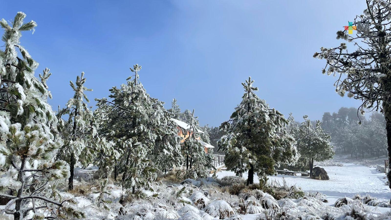 3 Destinos Magicos En Veracruz Para Una Navidad Inolvidable