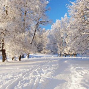 ¿nieve en chiapas? Municipios que se cubren de blanco durante la temporada invernal la revista del sureste mx Nieve En Chiapas Municipios Que Se Cubren De Blanco Durante La Temporada Invernal