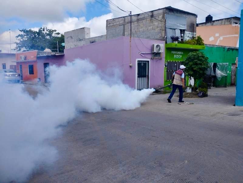 Tabasco Intensifica Operativos Contra El Dengue ¡Protege Tu Hogar Y Apoya